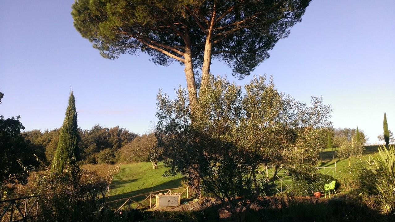 La Montagnola Retreat Hotel Gradoli Kültér fotó